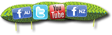 social icons